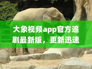 大象视频app官方追剧最新版，更新迅速无广告，畅享影视盛宴 不容错过的观影体验，尽在大象视频。