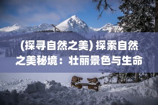 (探寻自然之美) 探索自然之美秘境：壮丽景色与生命力量在云海之下的独特呈现