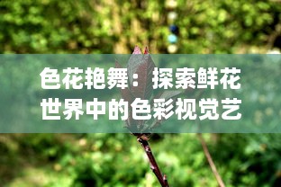 色花艳舞：探索鲜花世界中的色彩视觉艺术与自然生态之美的全新解读