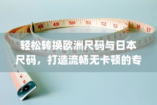 轻松转换欧洲尺码与日本尺码，打造流畅无卡顿的专业在线测量体验