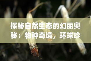 探秘自然生态的幻丽奥秘：物种奇境，环球珍稀动植物的生存与演变