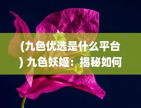 (九色优选是什么平台) 九色妖姬：揭秘如何用传统色彩理论打造属于自己的美学世界