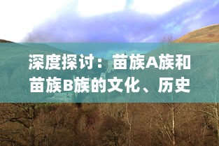 深度探讨：苗族A族和苗族B族的文化、历史和生活习惯有哪些主要区别