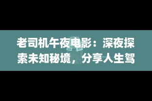 老司机午夜电影：深夜探索未知秘境，分享人生驾驶经验之旅