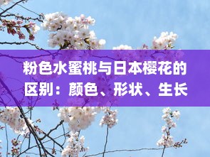 粉色水蜜桃与日本樱花的区别：颜色、形状、生长环境和文化象征解析 v0.5.4下载