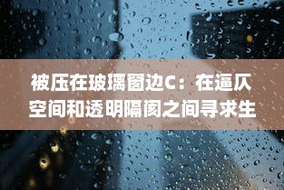 被压在玻璃窗边C：在逼仄空间和透明隔阂之间寻求生存的心路历程 v3.4.2下载