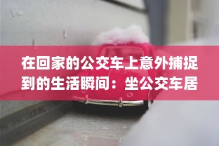 在回家的公交车上意外捕捉到的生活瞬间：坐公交车居然为我带来了两幅富有人情味的图片