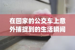 在回家的公交车上意外捕捉到的生活瞬间：坐公交车居然为我带来了两幅富有人情味的图片 v1.5.2下载