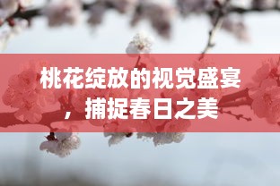 桃花绽放的视觉盛宴，捕捉春日之美