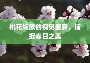 桃花绽放的视觉盛宴，捕捉春日之美