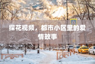 探花视频，都市小区里的爱情故事