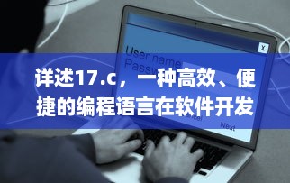 详述17.c，一种高效、便捷的编程语言在软件开发中的关键应用与优势