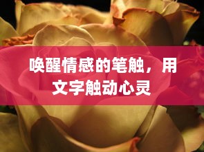 唤醒情感的笔触，用文字触动心灵