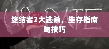 终结者2大逃杀，生存指南与技巧